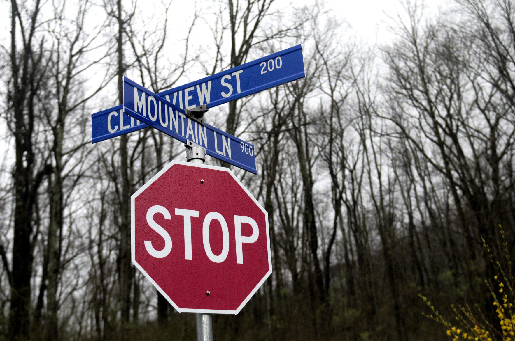 Body found in Virginia